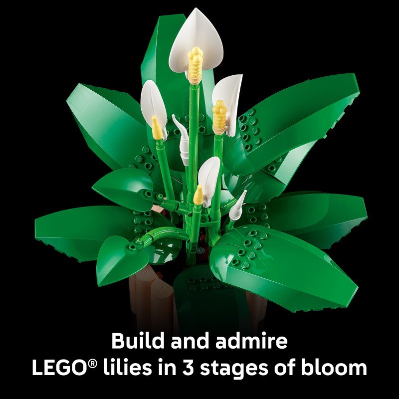 LEGO Botanicals Spatifillo
