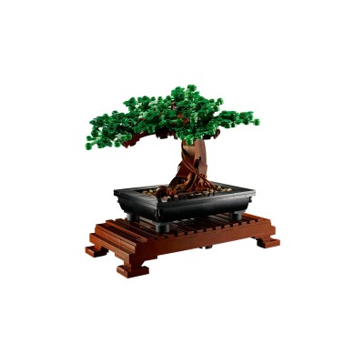 LEGO Botanicals Albero Bonsai